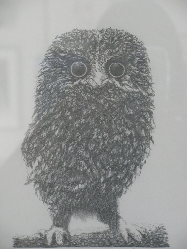 Burrow Owl by Jen Bottoms