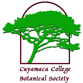 CCBS Logo